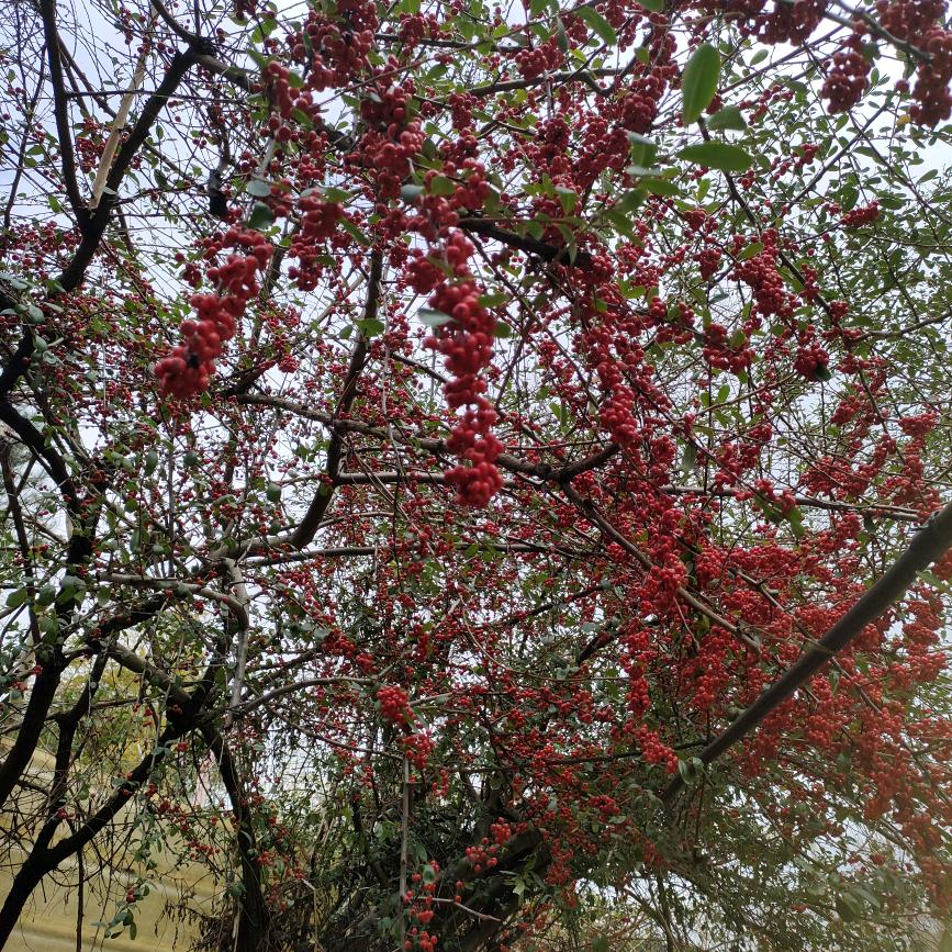 做人难，人难做