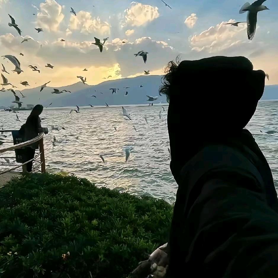 雾里看花海