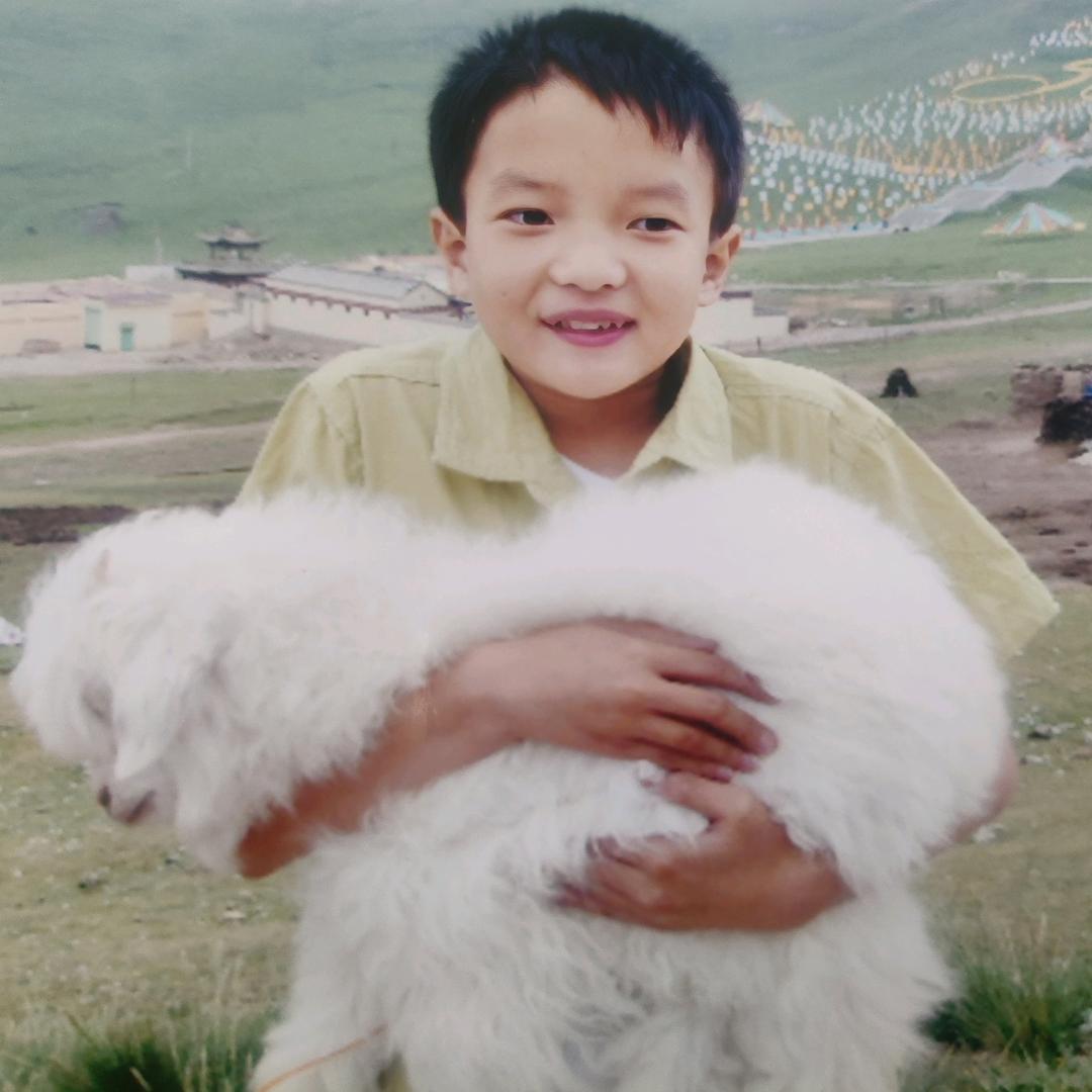 🐏🐑🐑