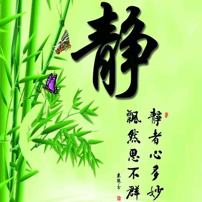 万般皆苦       唯有自渡