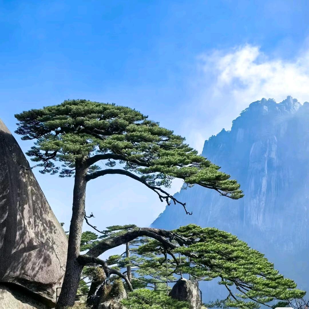 世代书香-小时达推荐官