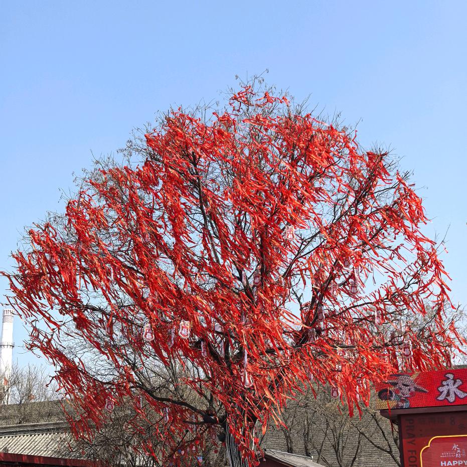 奕岑文化