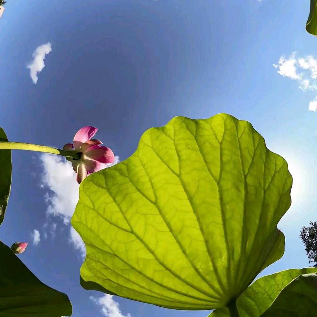 相濡以沫
