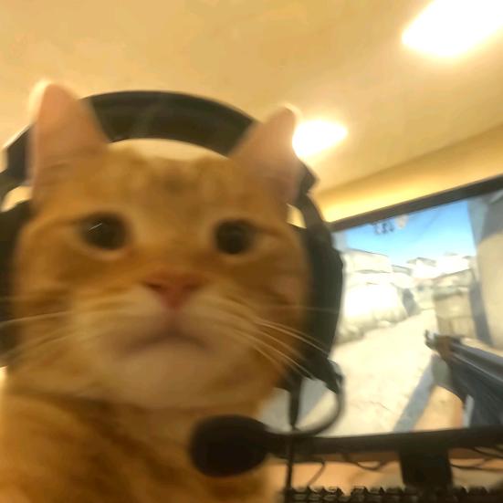 今天要嚯冰可乐