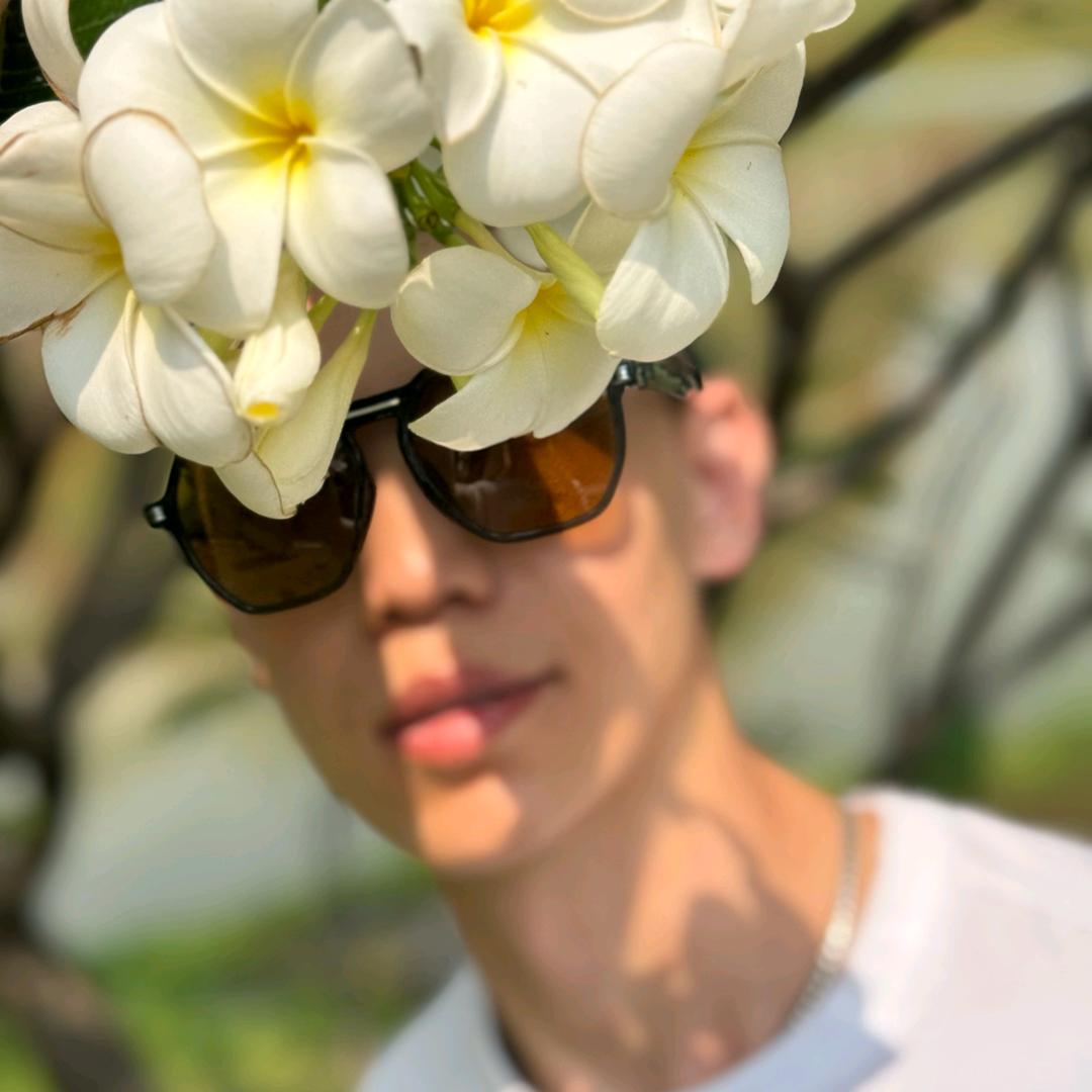 一个石头