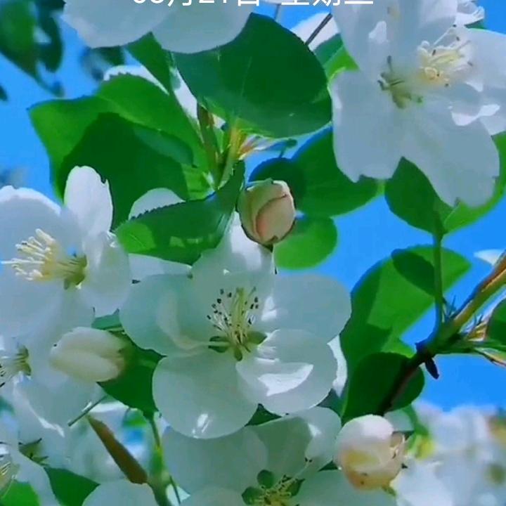 酒醉人心碎