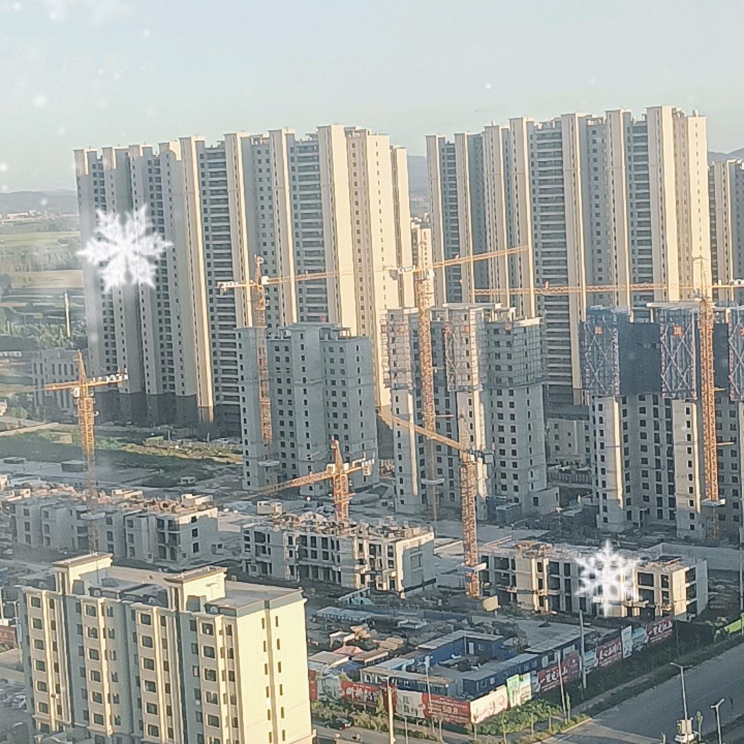 小贤贤