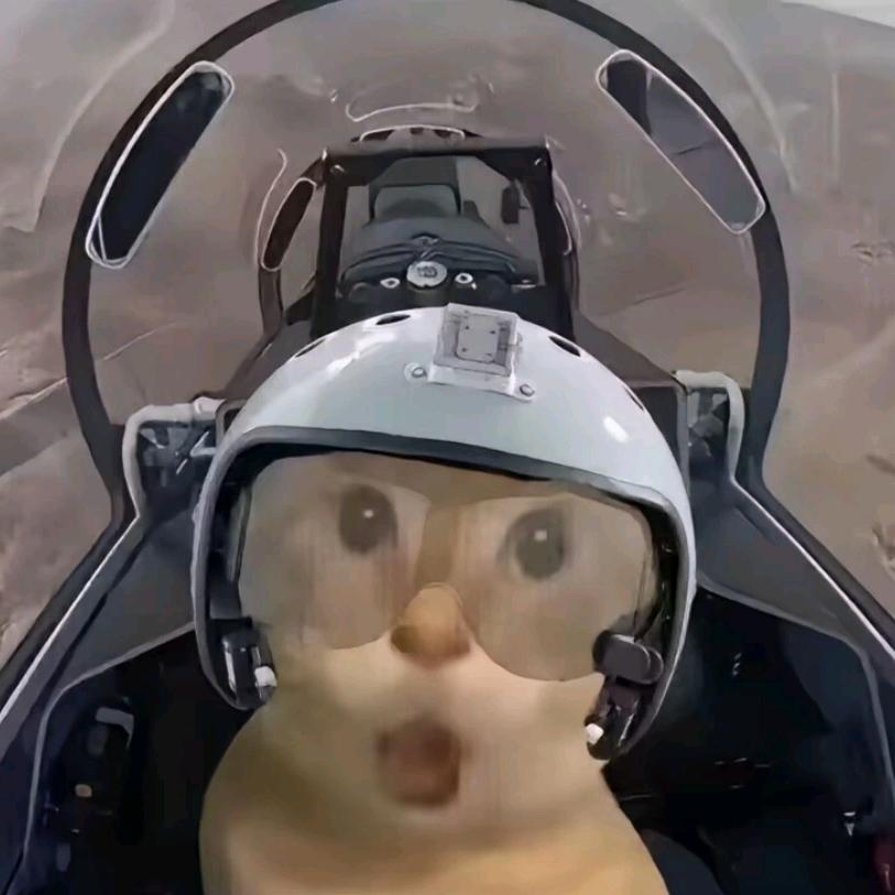 荡尽绵绵心痛