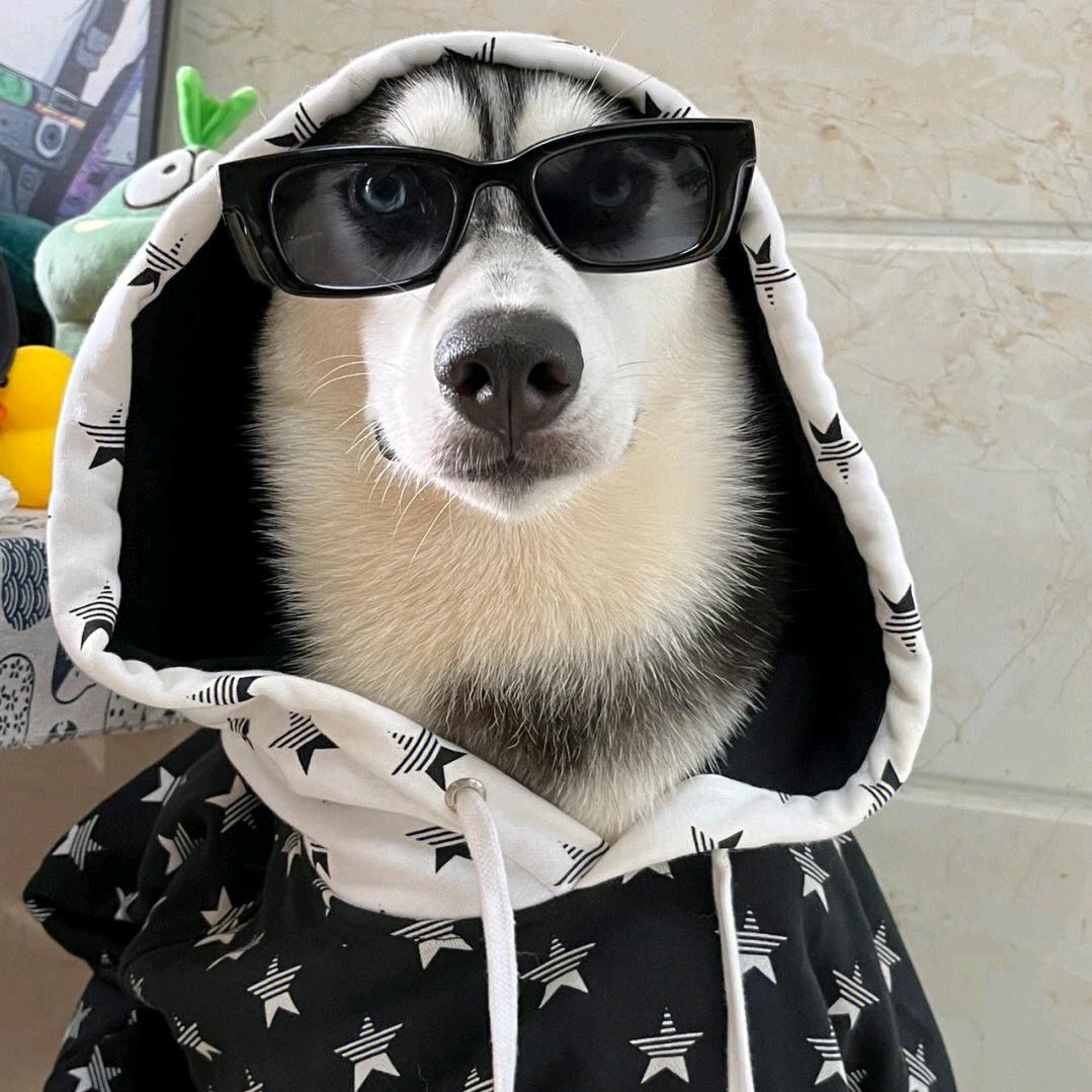 苦瓜.