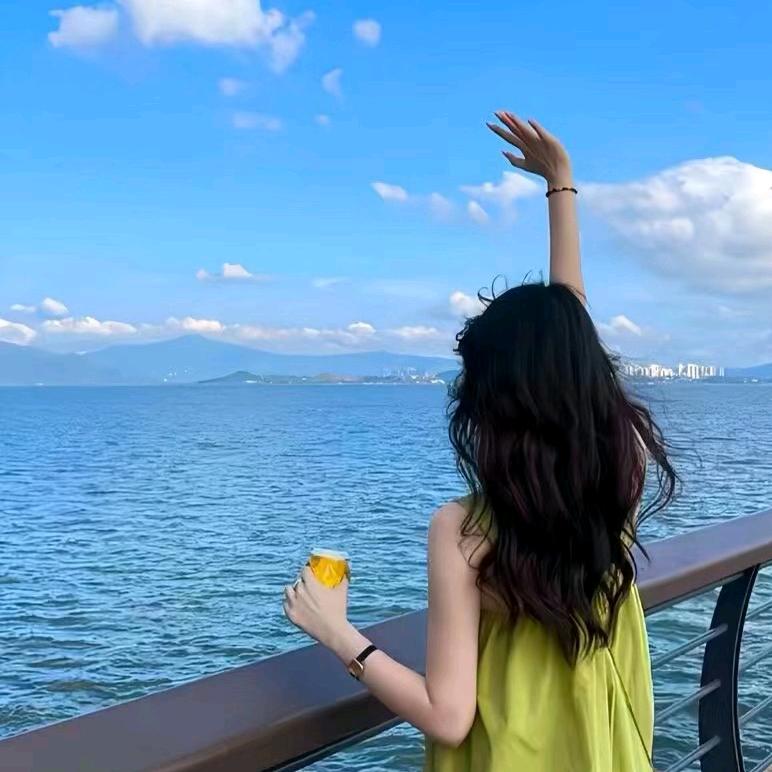cC陈