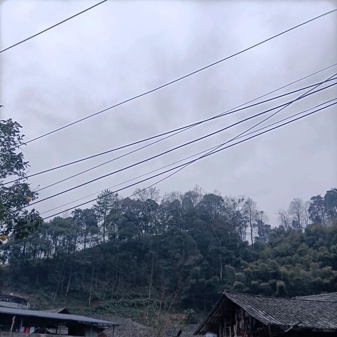 骑着蜗牛闯天下@