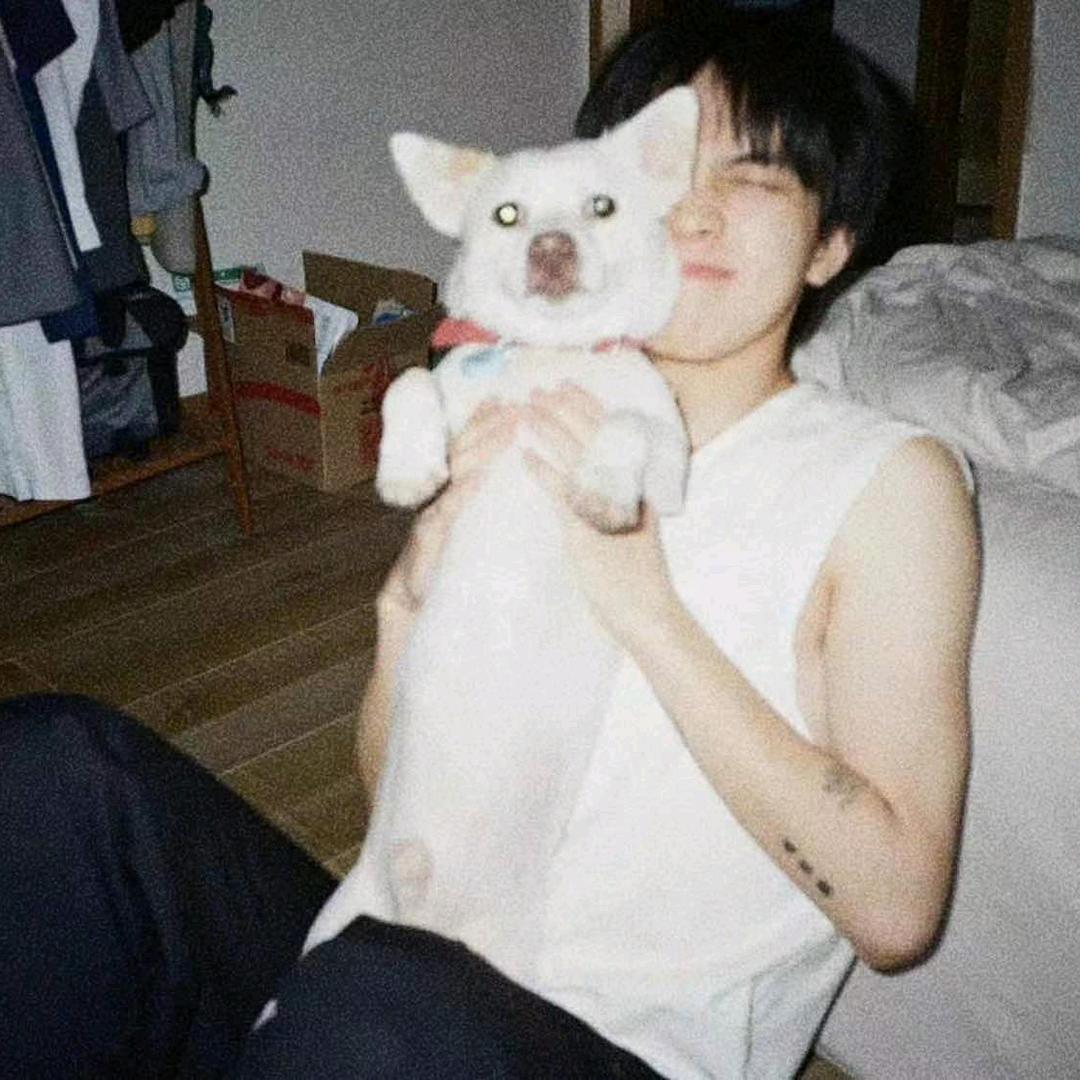智慧狐