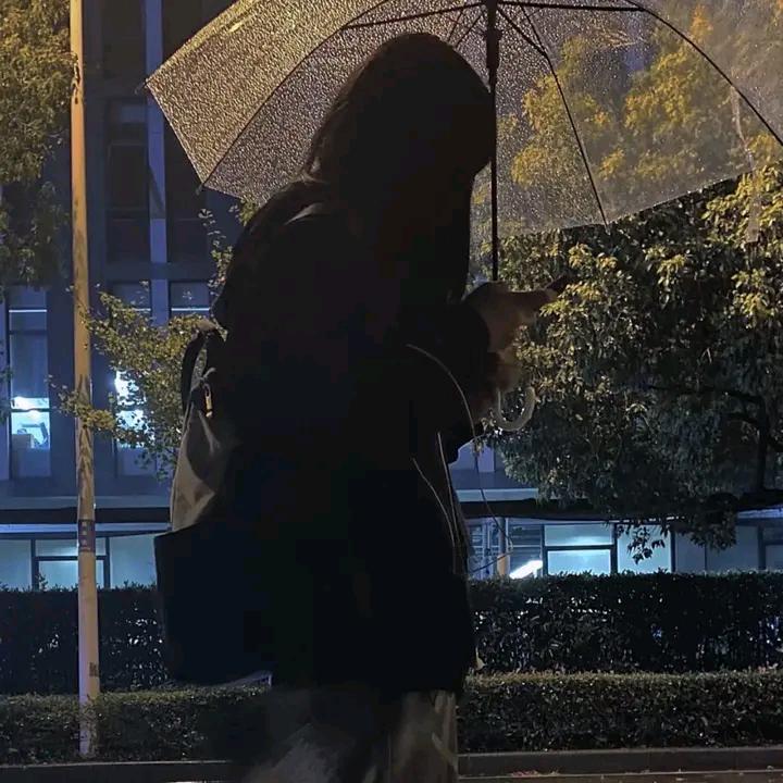 小橙子🍊