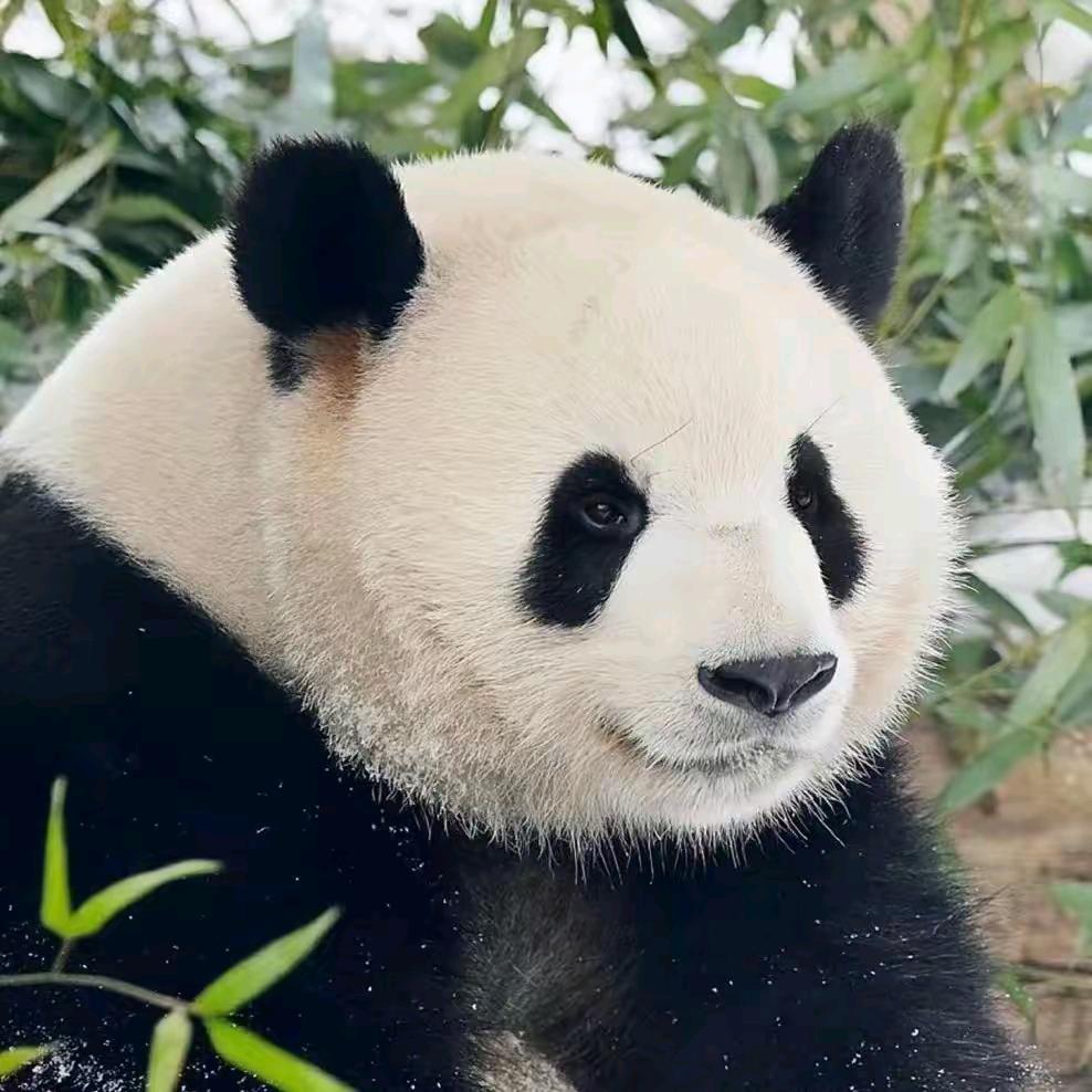 💞默默相守💕