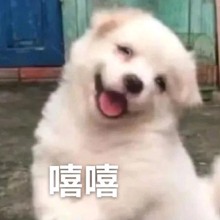 长城弹