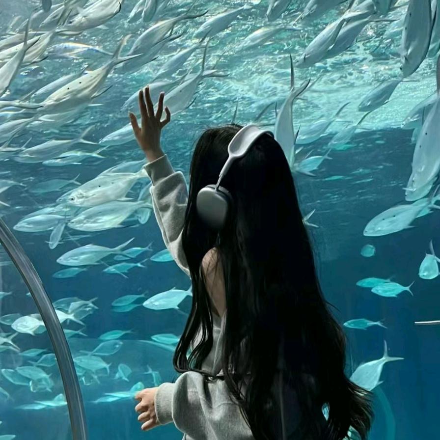 昆明宇苏七