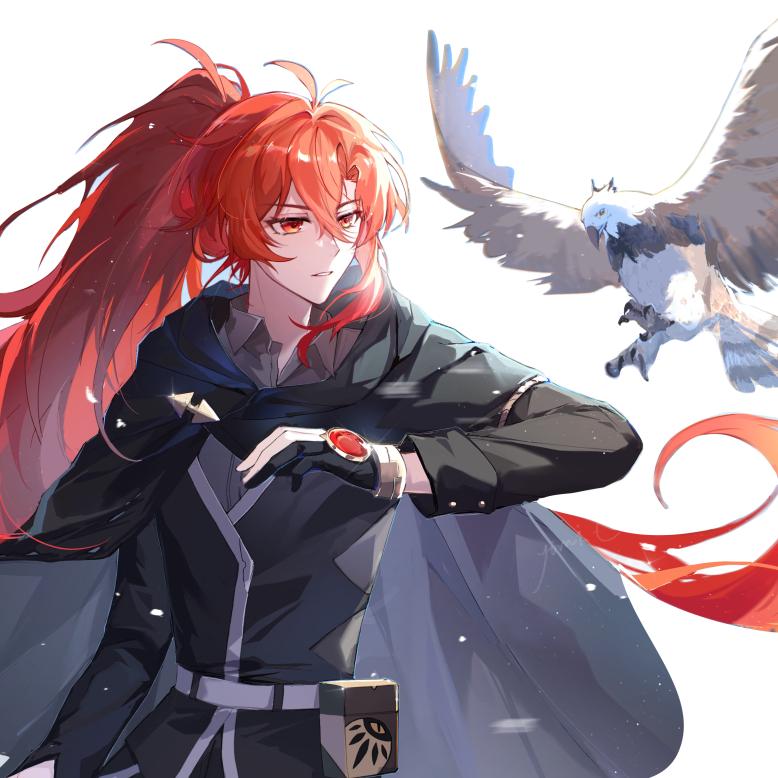 Lk白