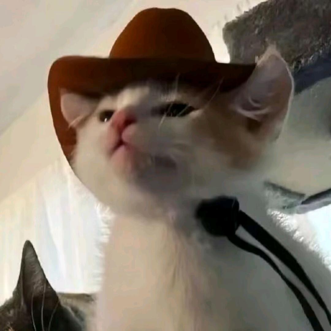 爱玩游戏的（歪比歪比）