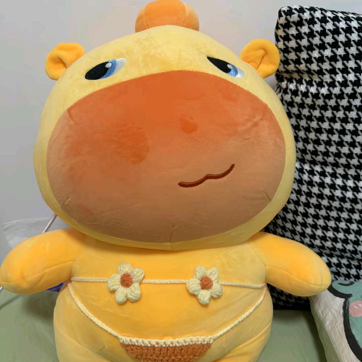 ༺丽丫头ོྂཾ࿆༻