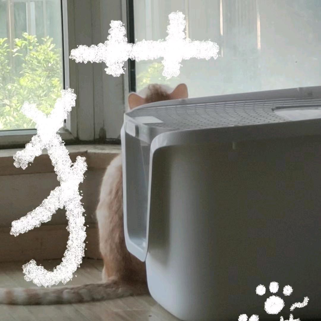 弹幕-蕊儿
