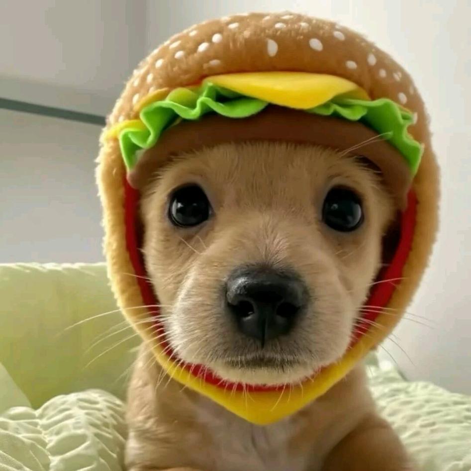 CS2⚡️haoning⚡️