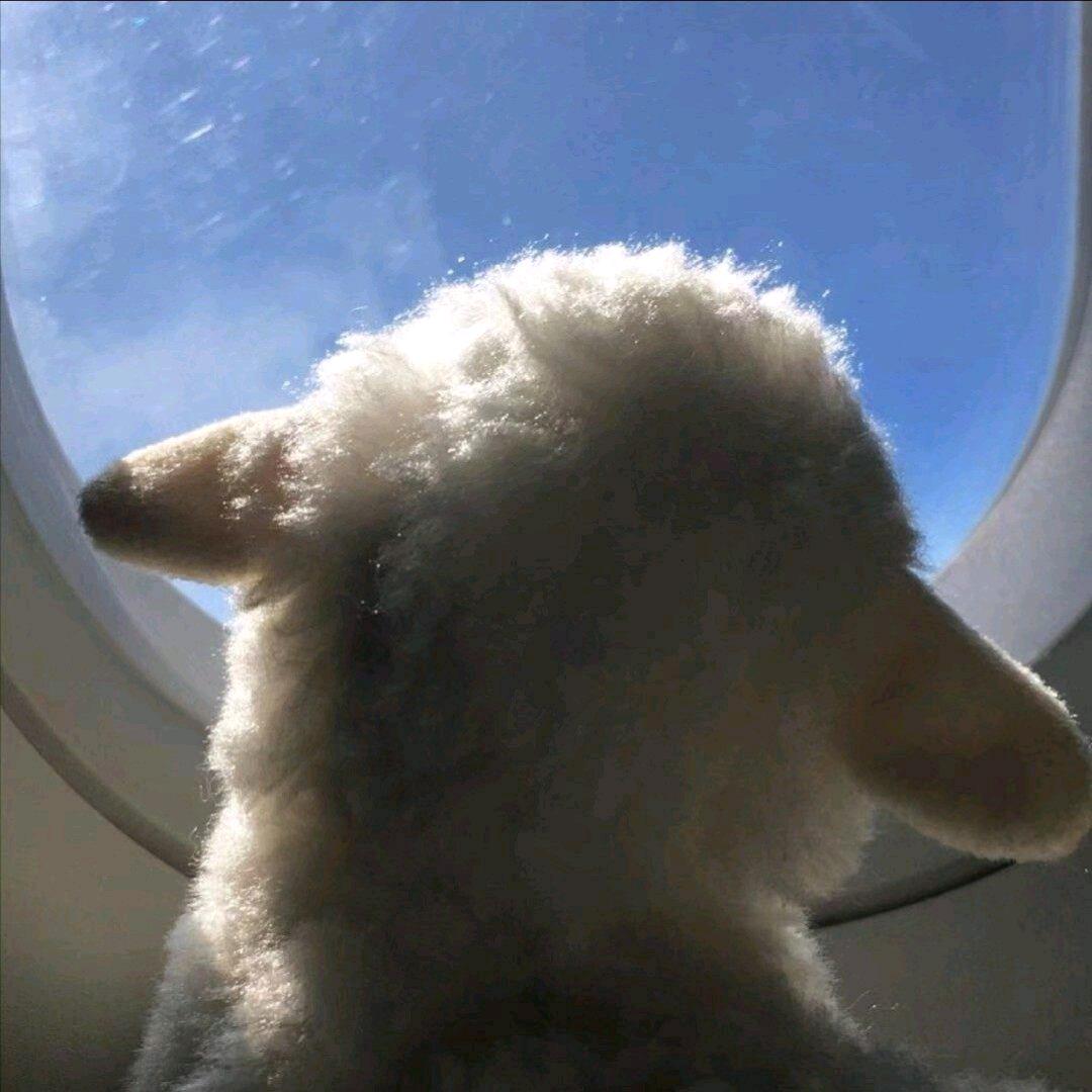 温婉软
