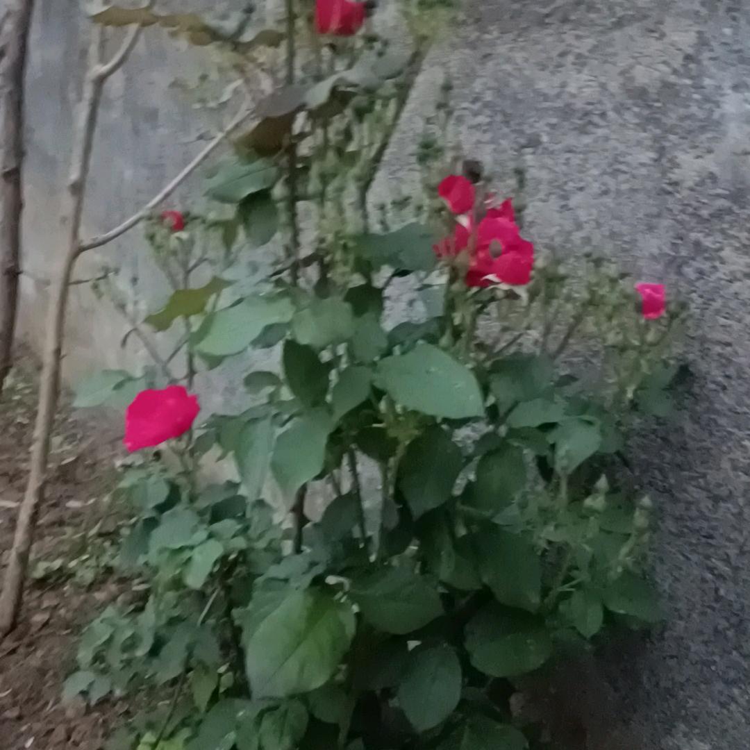 春天温暖