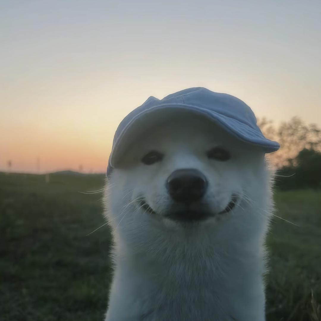 臻氾