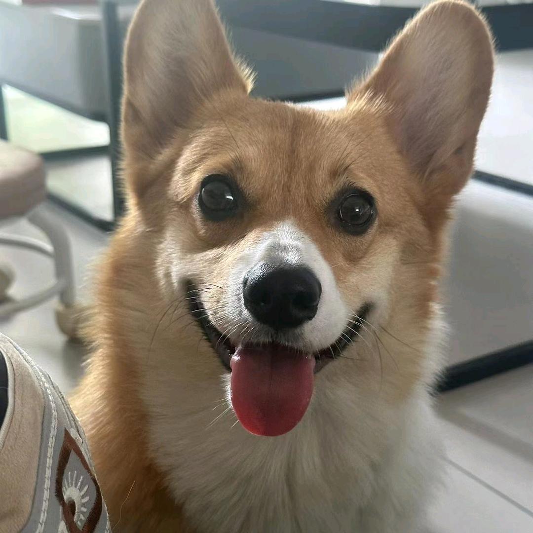 别看我我也不知道