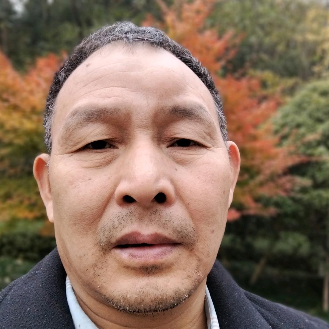 成树林