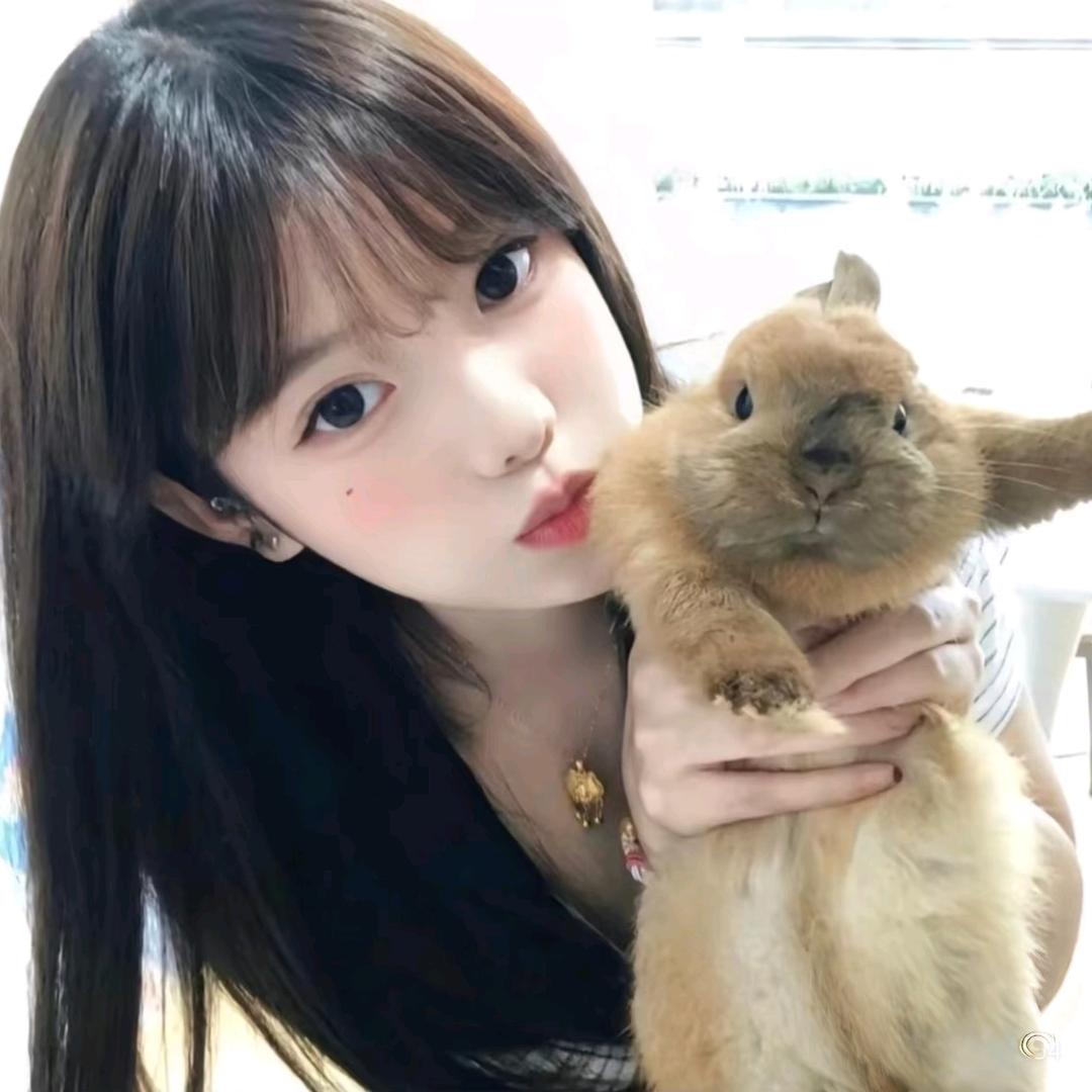 晗晗睡不醒ʢᴗ.ᴗʡᶻ