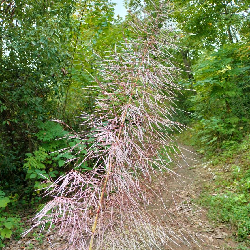 🌈🌈AA9527🔥☀️