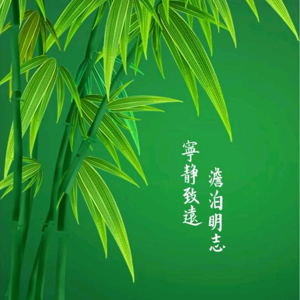 濮阳智和家米家全屋智能家居
