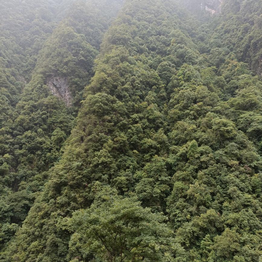 海角天涯