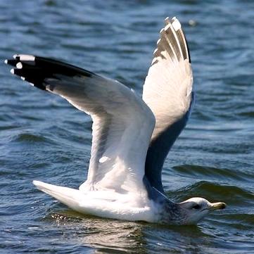 💧水源💧⁹⁰⁹