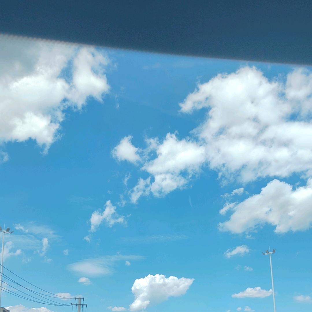 ，啊分离焦虑葡萄