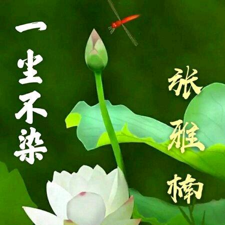 心态好一切就好