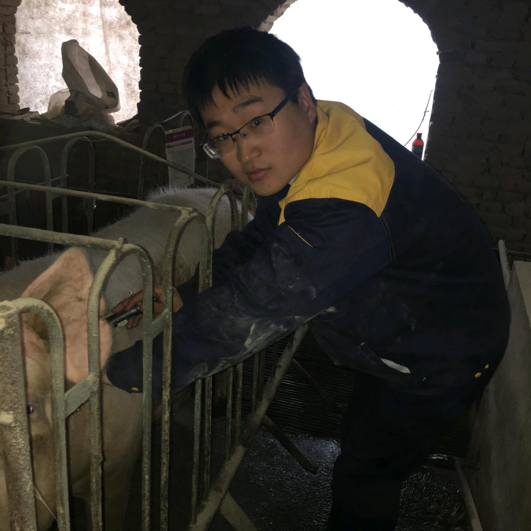 养猪人涛涛