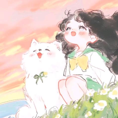 苏琦信息咨询直播号