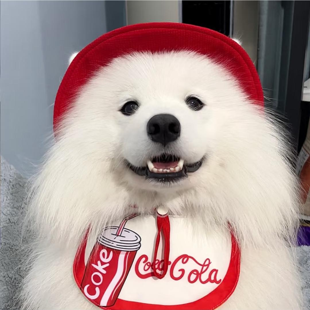 ＃罐装冰块%