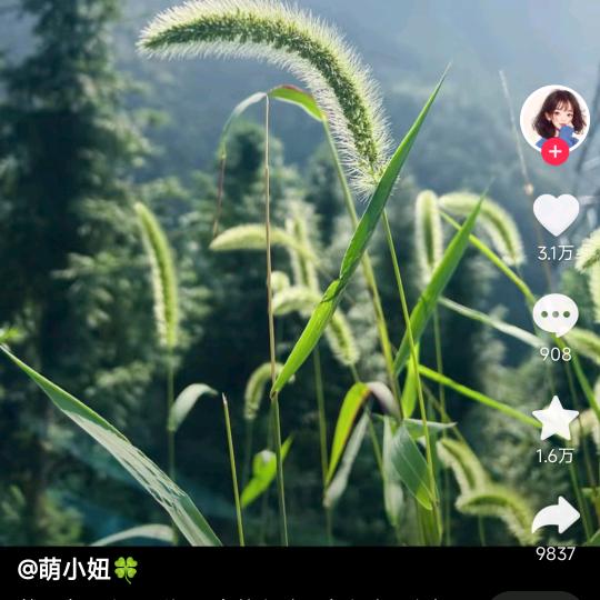 敞开心扉