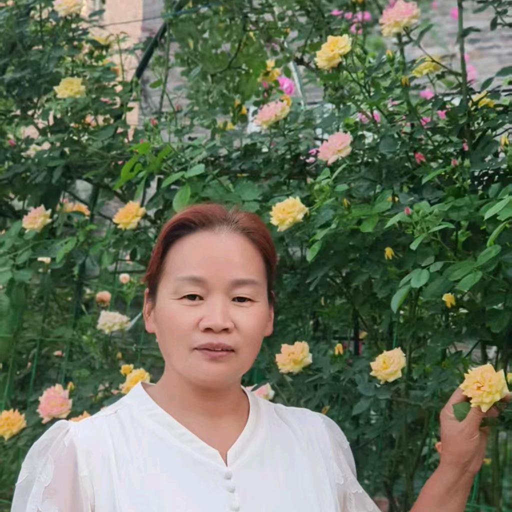 群芳