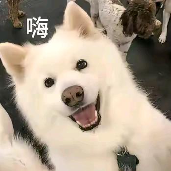 咎由自取