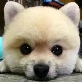 一粒小沙子