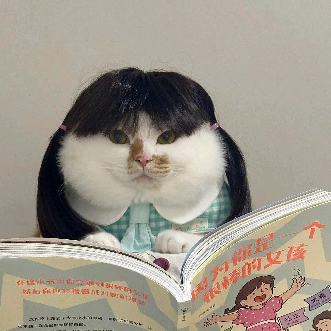 暴走小怪兽