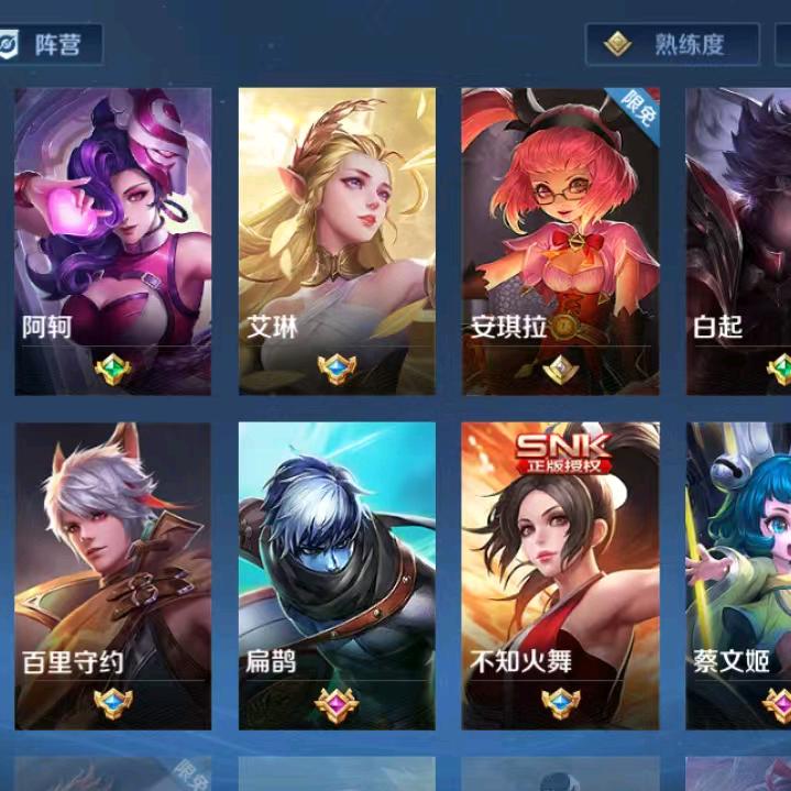 王者之荣耀