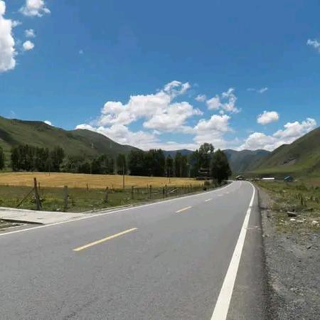 小团旅行团队-林队
