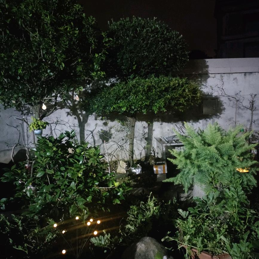 用户8239759179390黄春旺