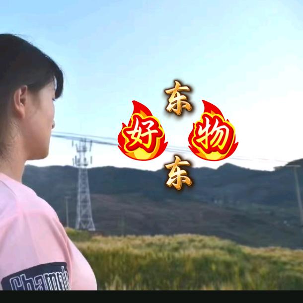 东东
