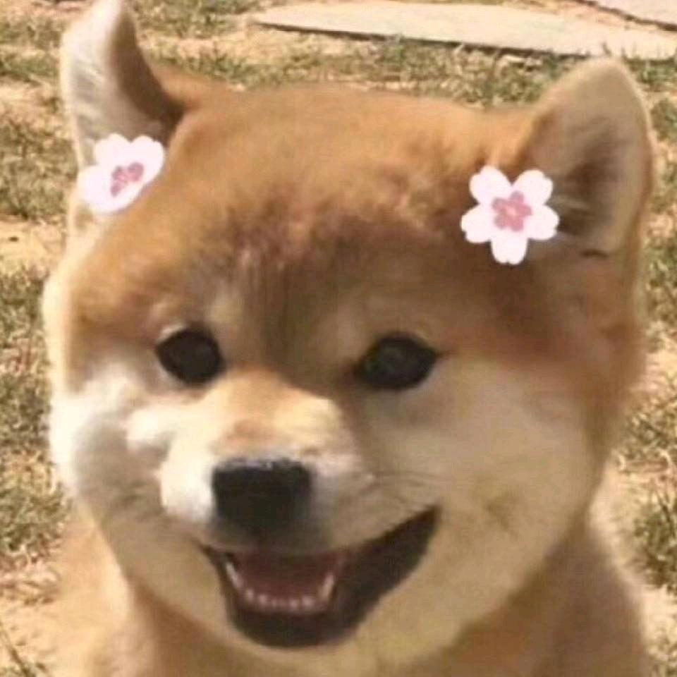 为你而来🐘ᴼᴹᴳ